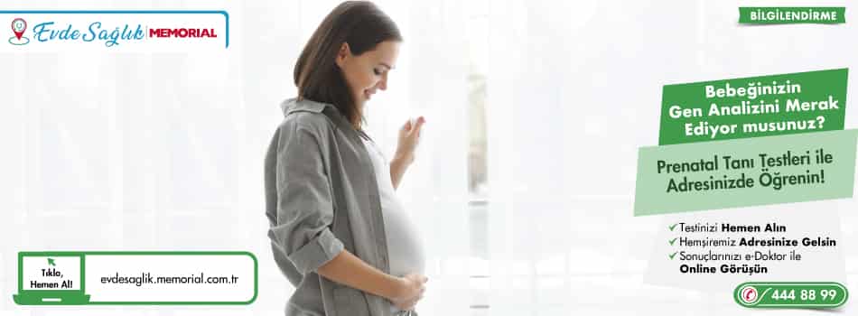 hamileligehazirlik